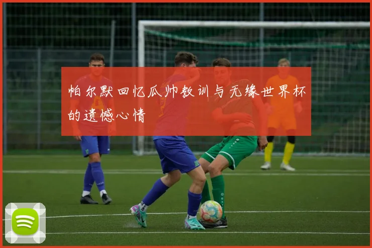 帕尔默回忆瓜帅教训与无缘世界杯的遗憾心情