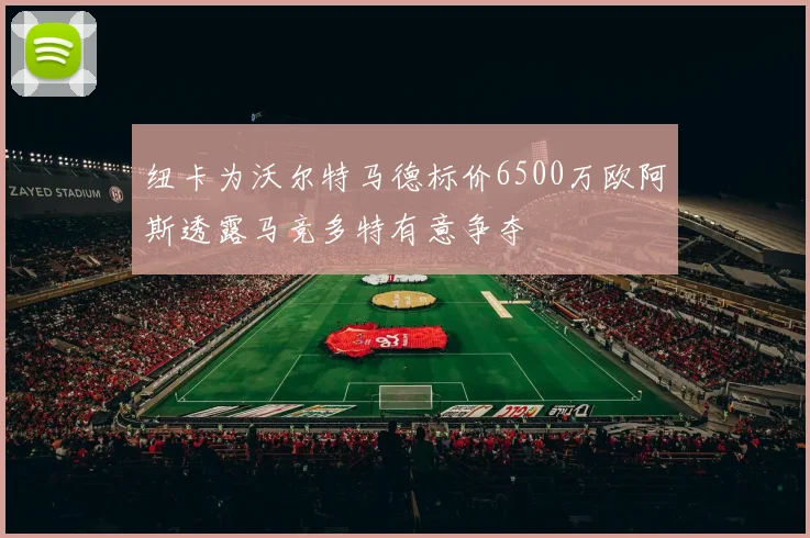 纽卡为沃尔特马德标价6500万欧阿斯透露马竞多特有意争夺